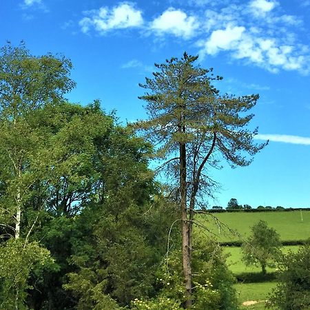 Bed and Breakfast Heddfan Llanboidy Exterior foto