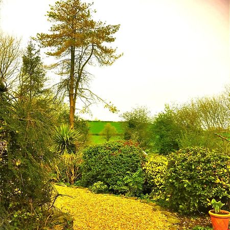 Bed and Breakfast Heddfan Llanboidy Exterior foto
