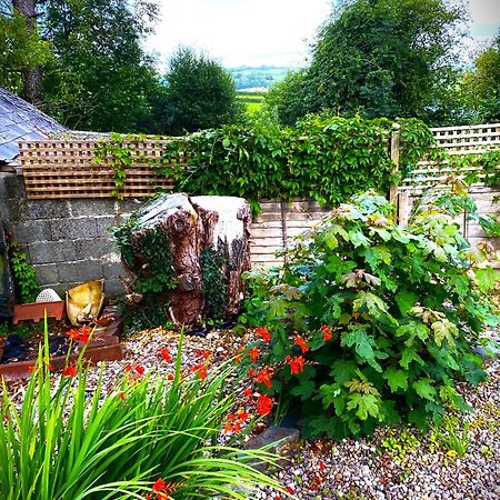 Bed and Breakfast Heddfan Llanboidy Exterior foto