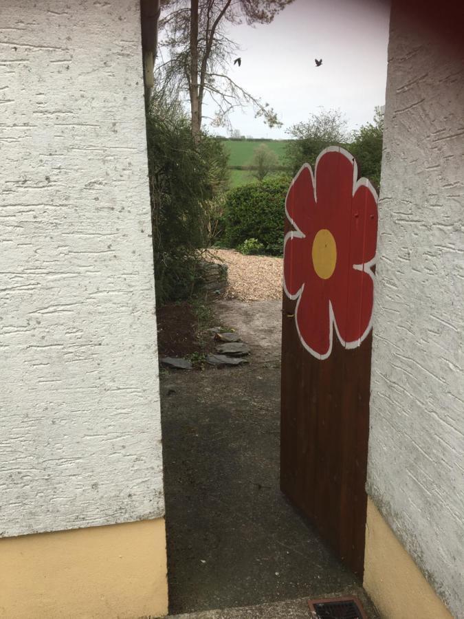 Bed and Breakfast Heddfan Llanboidy Exterior foto