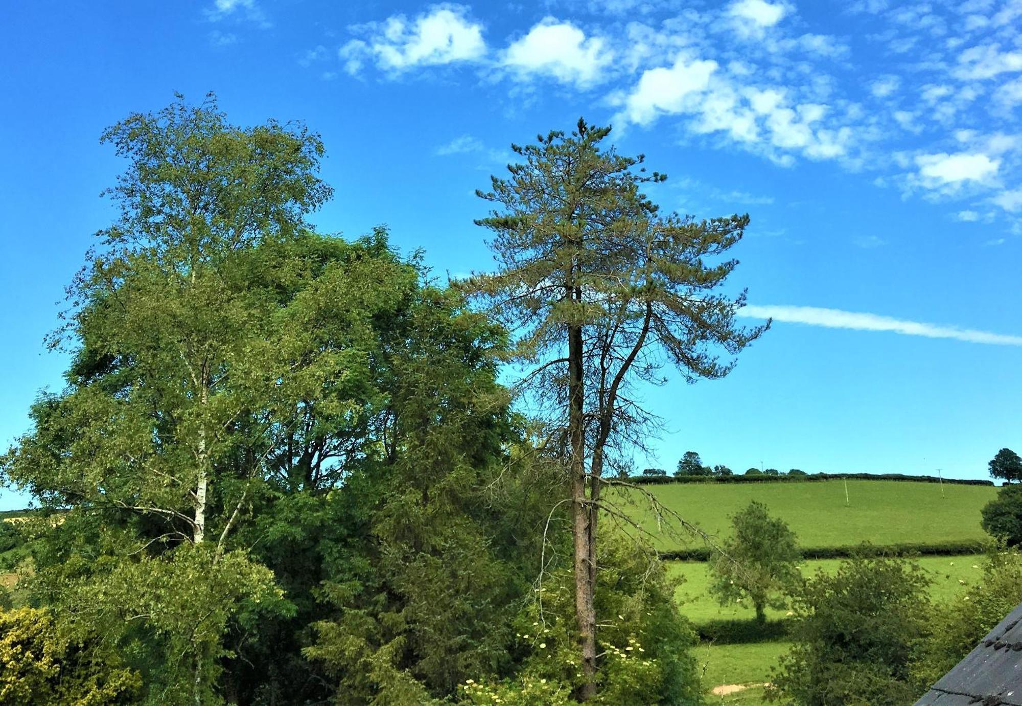 Bed and Breakfast Heddfan Llanboidy Exterior foto