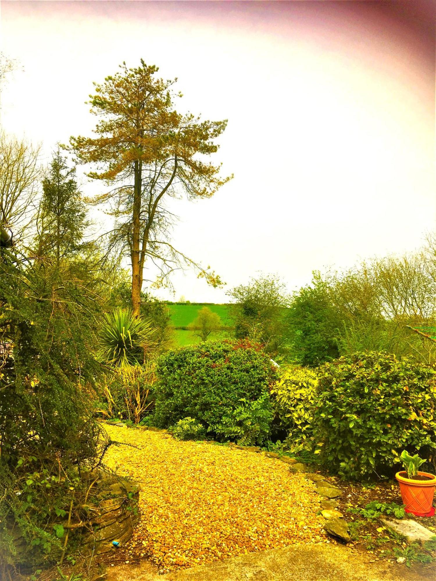 Bed and Breakfast Heddfan Llanboidy Exterior foto