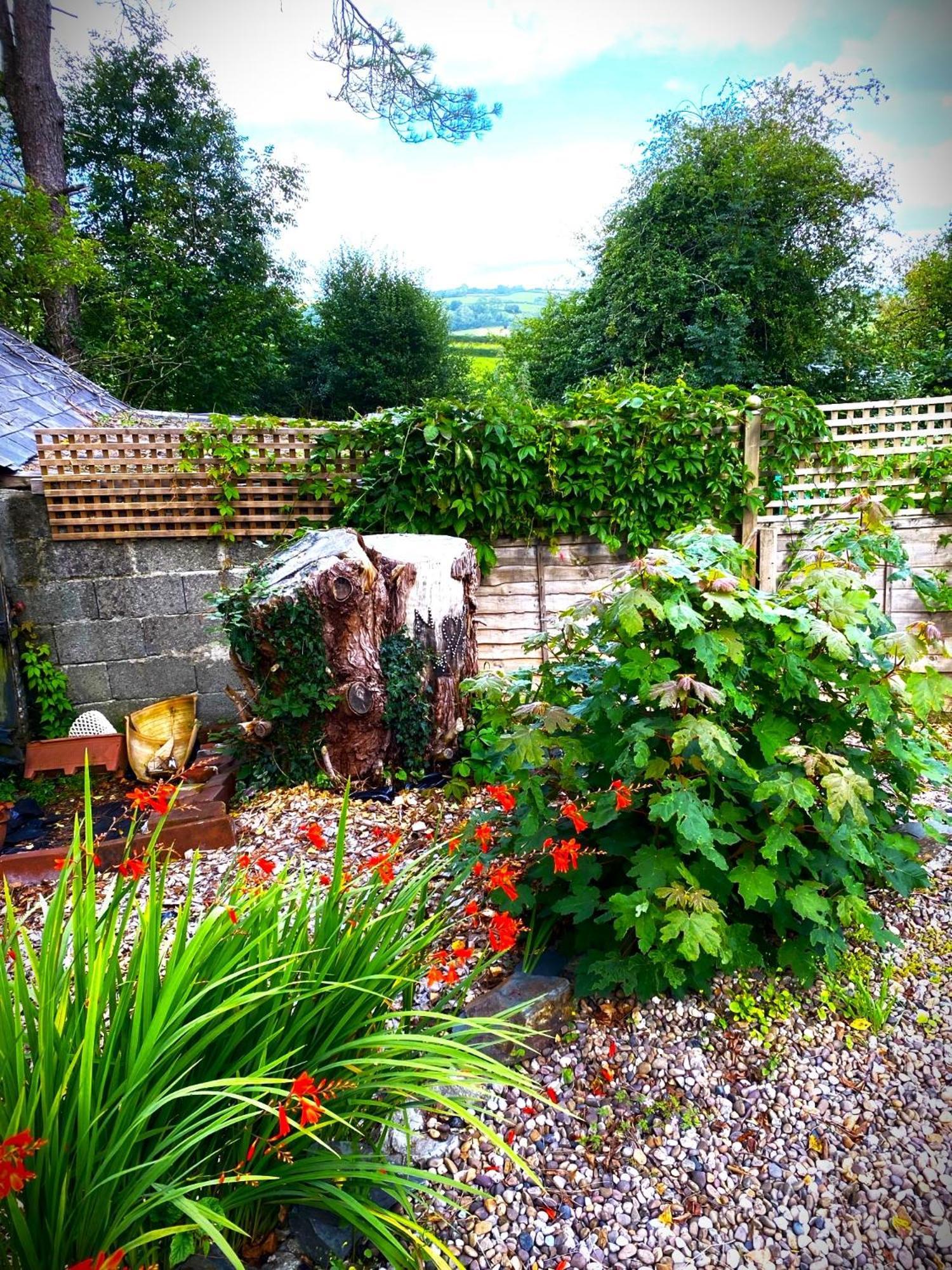 Bed and Breakfast Heddfan Llanboidy Exterior foto