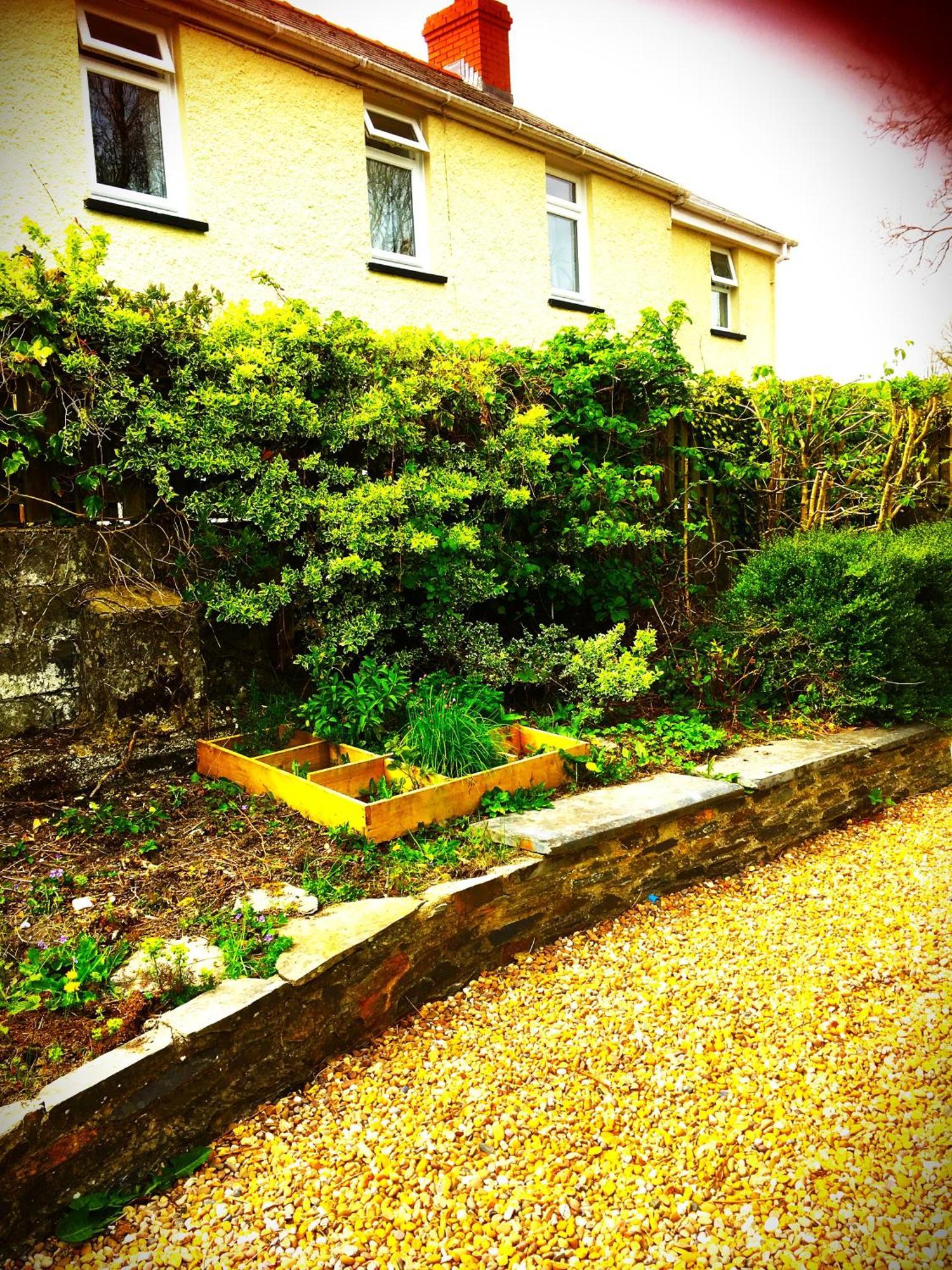 Bed and Breakfast Heddfan Llanboidy Exterior foto